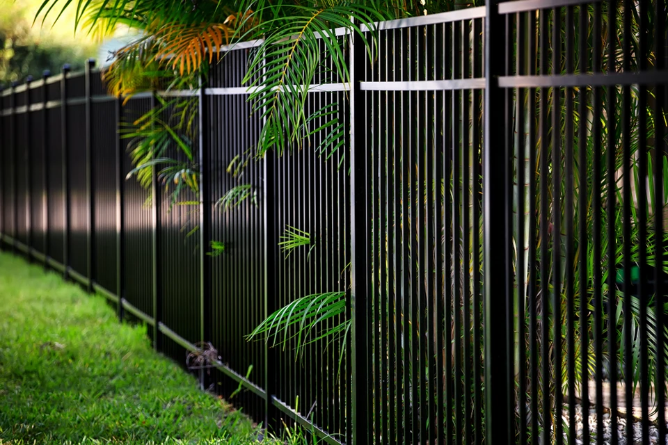 Clôture métallique noire à barreaudage vertical installée le long d'un jardin résidentiel avec palmiers et pelouse verte